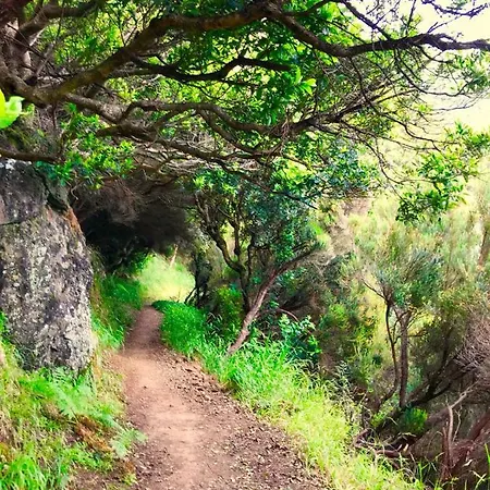 Madeira Island - Cosy & Spacious Holidays House Near The Beach In Machico Holiday home *
